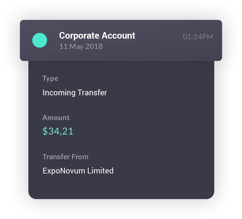 Corporate Account Sample by ExpoNovum